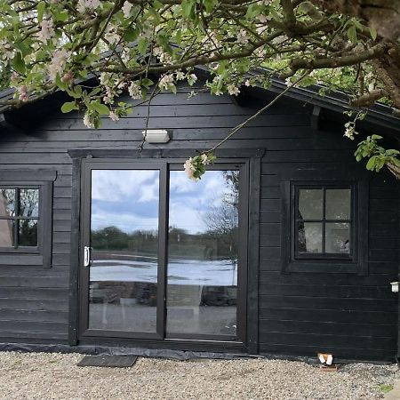 The Cosy Cabin By The Shore Galway Esterno foto